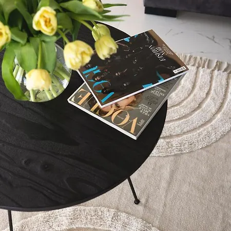 Apartament Liine 3008 Parnawa